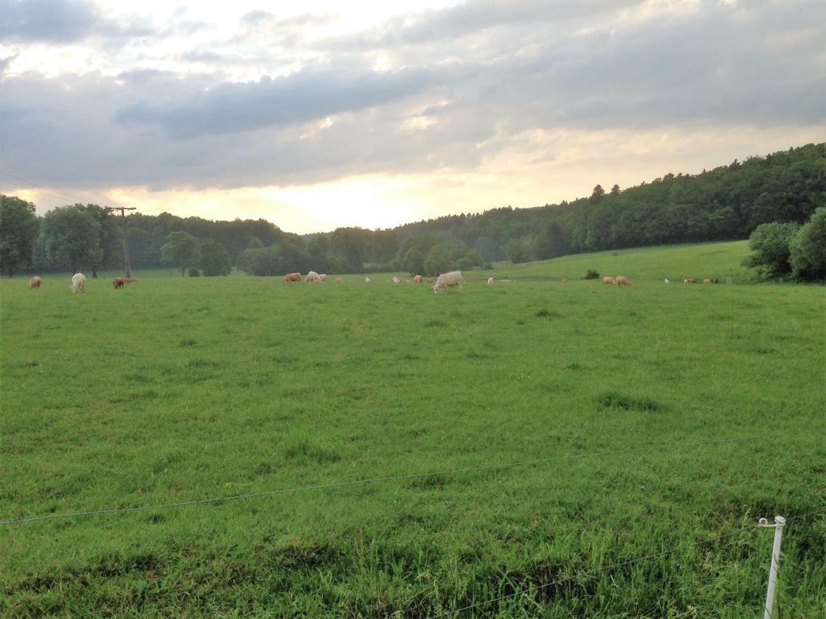 Ferienwohnung Baldus-Westerwald Mogendorf Esterno foto